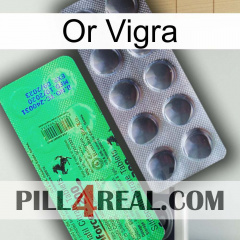 Gold Vigra new04
